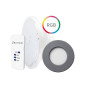 Kit Rénovation Lampe PAR56 RGB Ecoproof SEAMAID - Gris anthracite