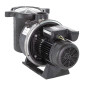 Pompe de filtration UltraFlow monophasée PENTAIR Pompe de filtration UltraFlow monophasée PENTAIR