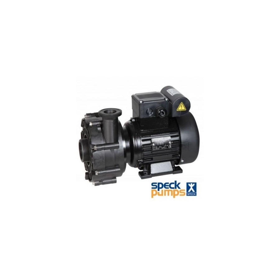 Pompe BADU 47/22 SPECK pour bloc de filtration autonome