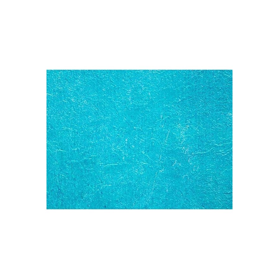 picto-pvc-arme-alkorplan-vogue-summer-membrane-200-100ème