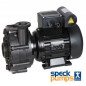Pompe BADU 21/40-53G SPECK - Mur filtrant Filtrinov
