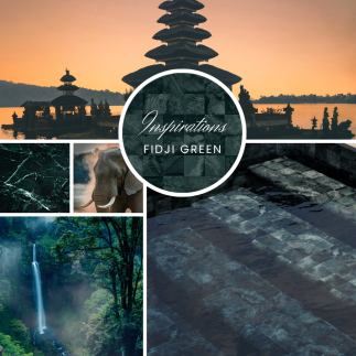 design inspiration fidji green