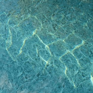 photo d'une piscine avec Pvc armé ALKORPLAN ALIVE 165/100 couleur VERT