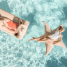 Pouf Flottant XL Étoile de Mer – MX Home